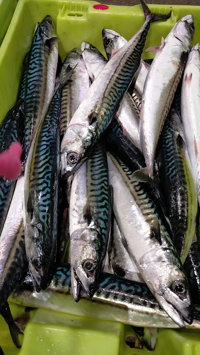 El Pescador Peix de Platja