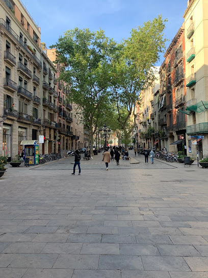 Paseo del Borne