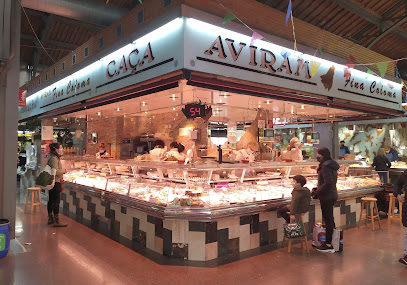 Fina – Coloma