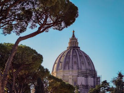 Tours and The City