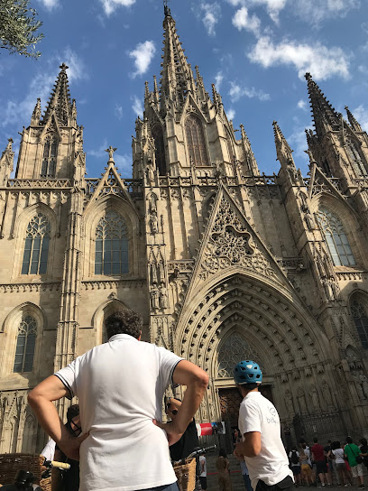 Bebike Tours