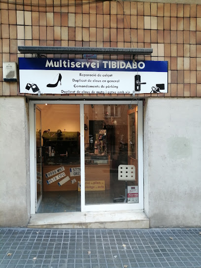 Multiservei Tibidabo