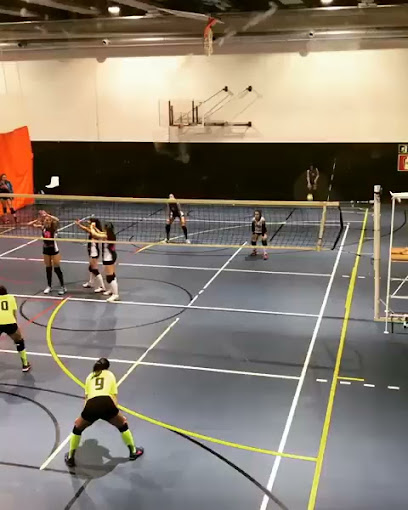 Club voleibol Mundet