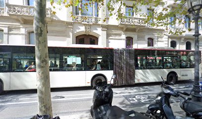 OBN& Patrimonial